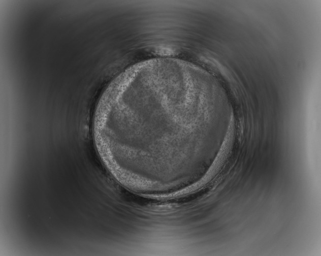 X0000089340553200707131514