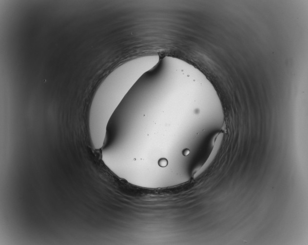 X0000089340556200707131514