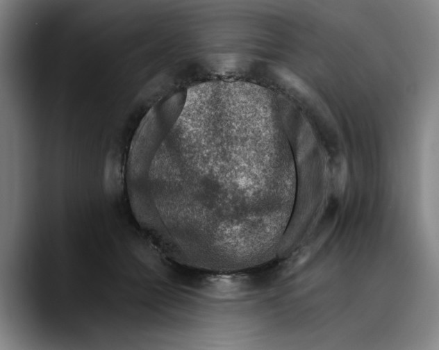 X0000089340558200707131514