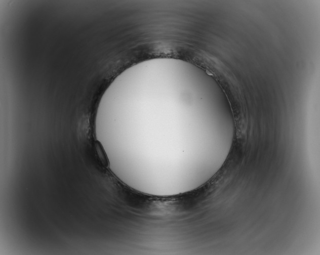 X0000089340560200707131514
