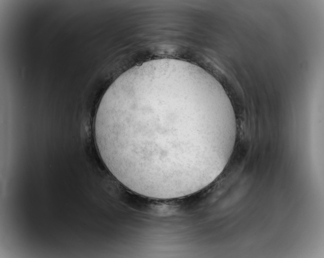 X0000089340561200707131514