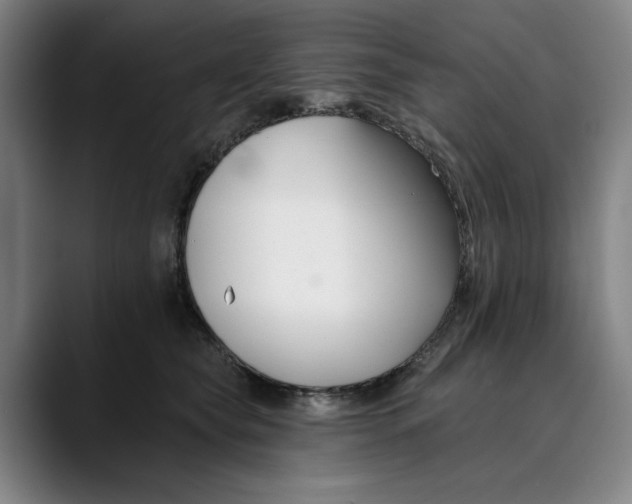 X0000089340565200707131514