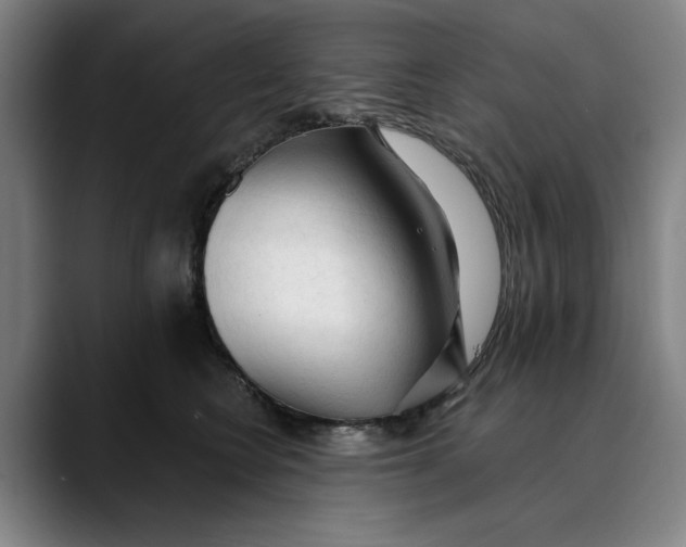 X0000089340566200707131514