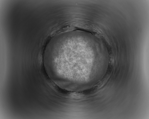 X0000089340568200707131514