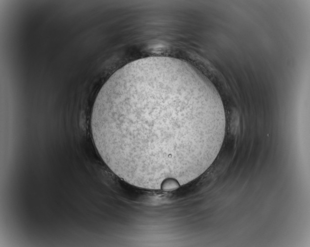 X0000089340569200707131514