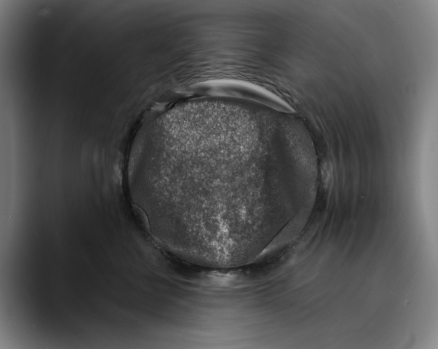 X0000089340570200707131514