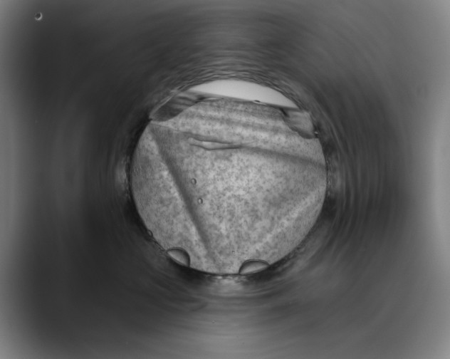 X0000089340573200707131514