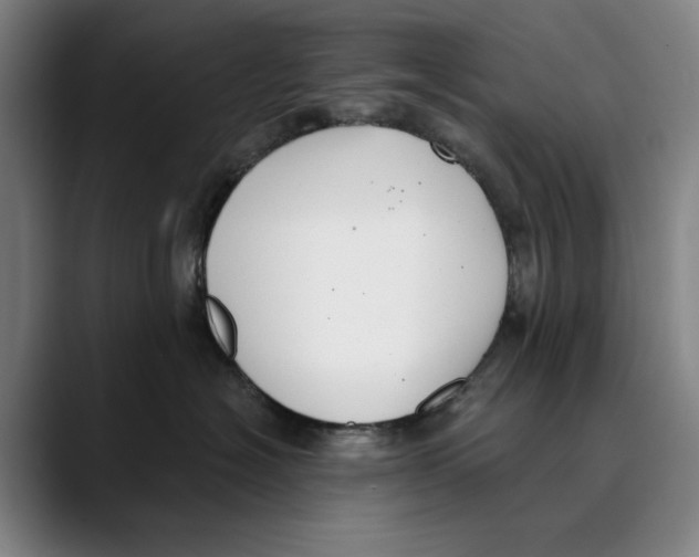 X0000089340574200707131514
