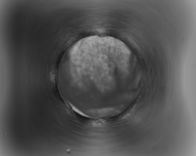 X0000089340576200707131514