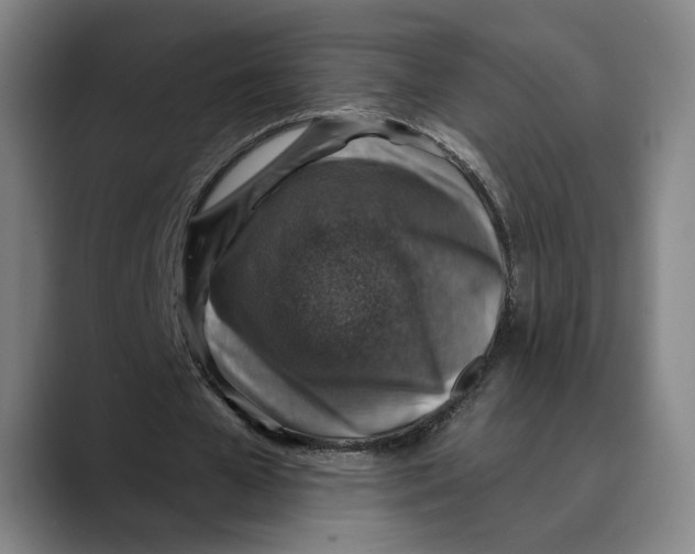X0000089340577200707131514