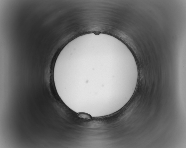 X0000089340578200707131514