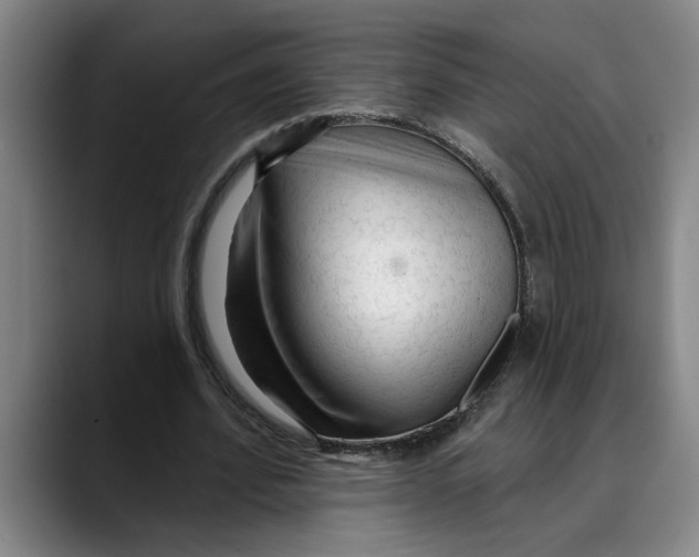 X0000089340580200707131514