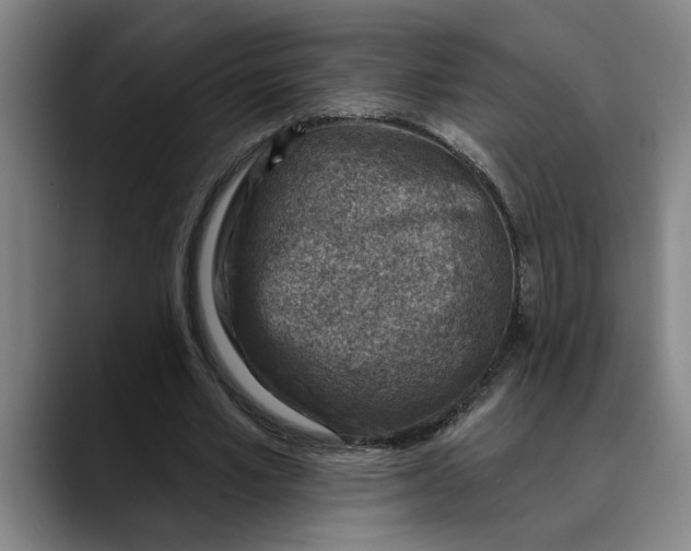 X0000089340581200707131514