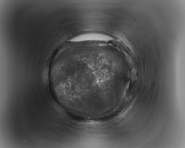 X0000089340585200707131514