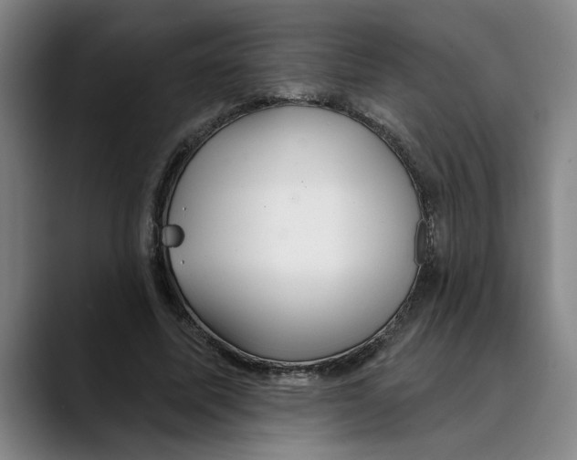 X0000089340587200707131514