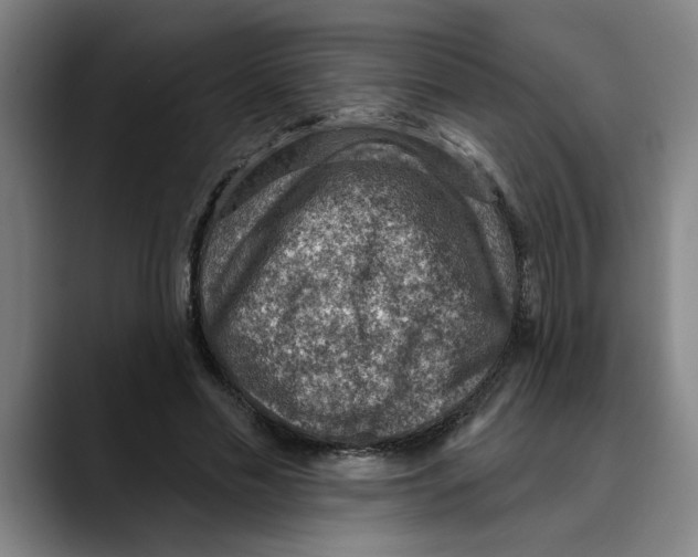 X0000089340589200707131514