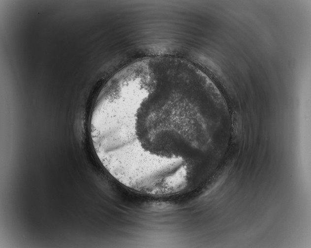 X0000089340590200707131514