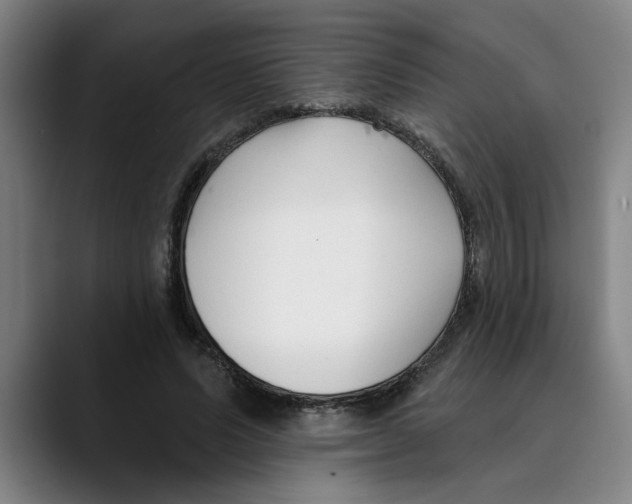X0000089340591200707131514