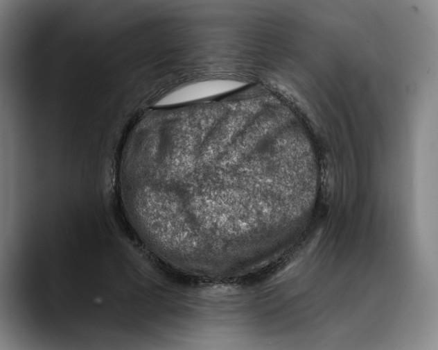 X0000089340593200707131514