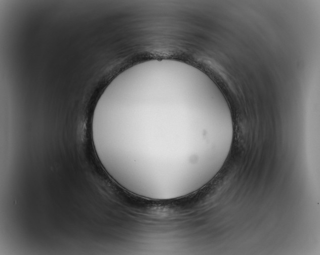 X0000089340596200707131513