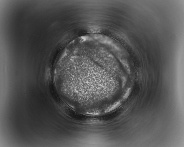 X0000089340598200707131513
