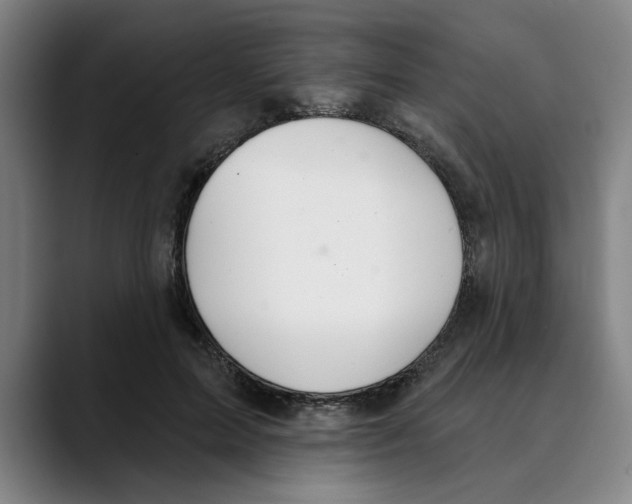 X0000089340599200707131513