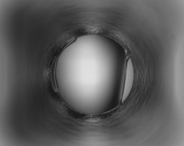 X0000089340601200707131513