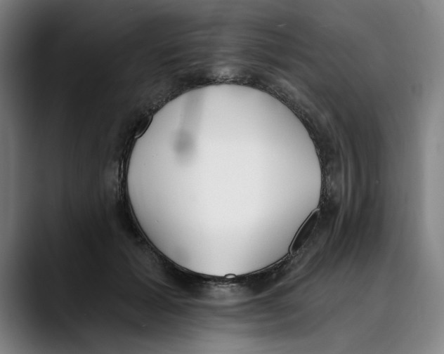 X0000089340605200707131513