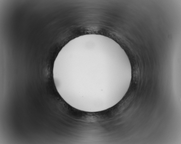 X0000089340608200707131513