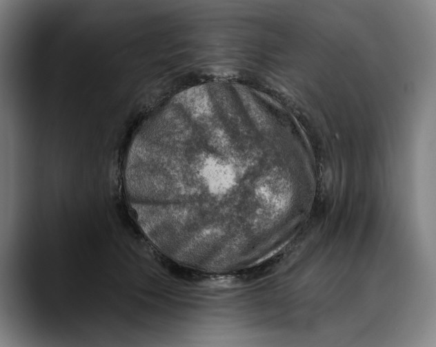 X0000089340609200707131513