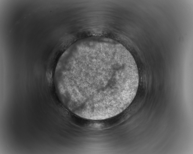 X0000089340610200707131513