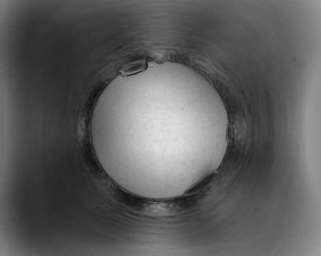 X0000089340611200707131513