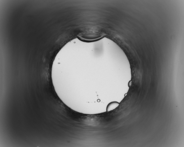 X0000089340612200707131513