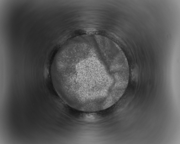 X0000089340618200707131513