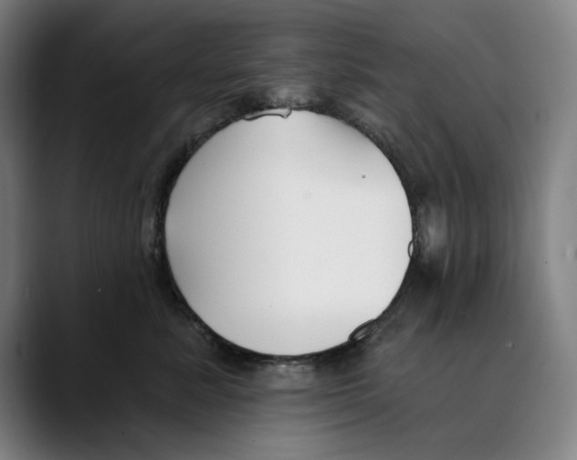 X0000089340619200707131513