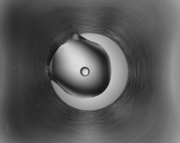 X0000089340621200707131513