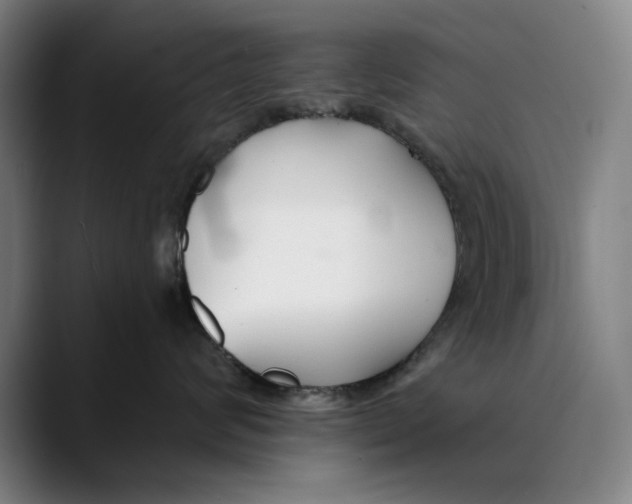 X0000089340624200707131513