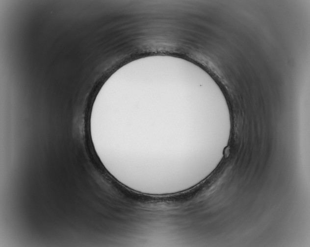 X0000089340629200707131513