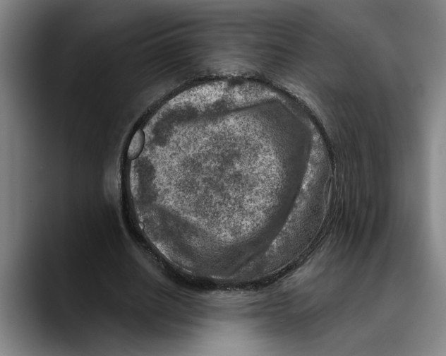 X0000089340630200707131513