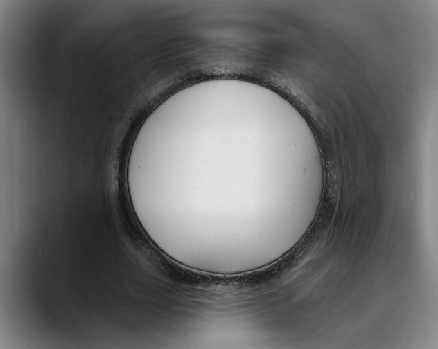 X0000089340631200707131513