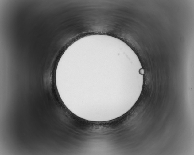 X0000089340632200707131513