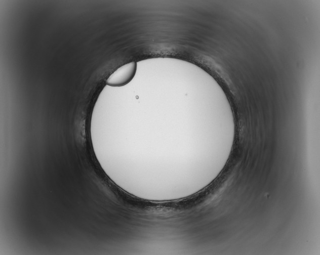 X0000089340633200707131513