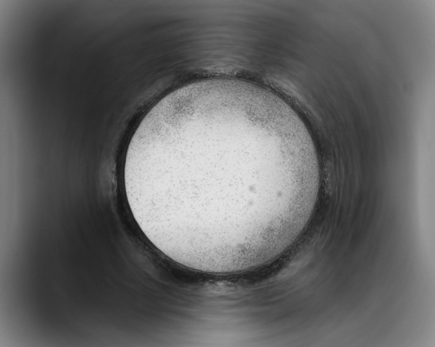X0000089340634200707131513