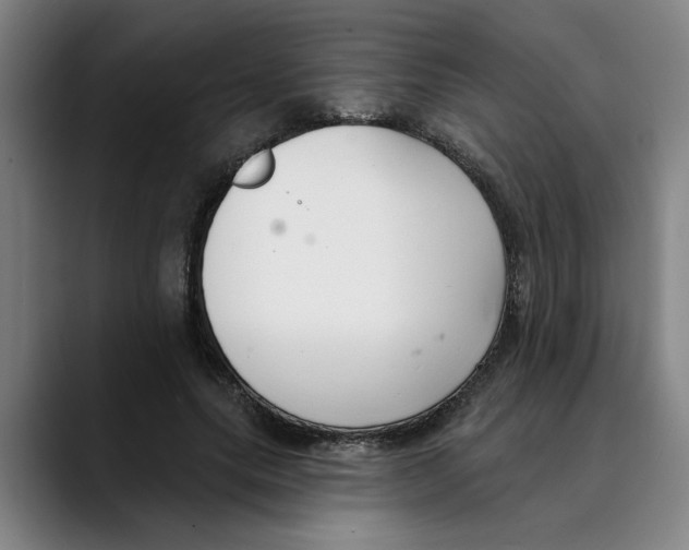 X0000089340639200707131513