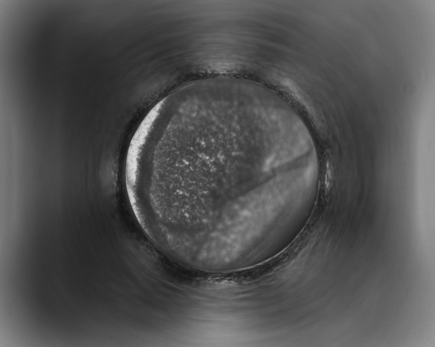 X0000089340640200707131513