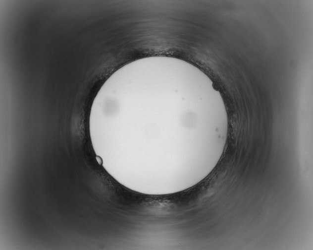 X0000089340642200707131513