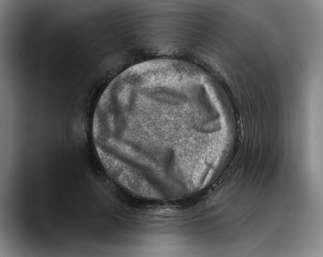 X0000089340643200707131513