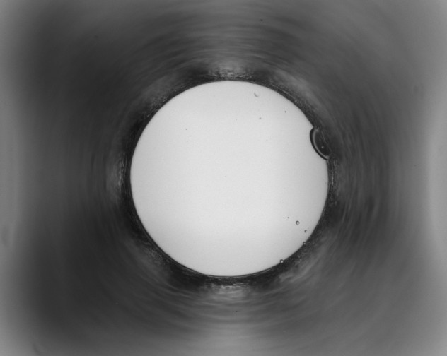 X0000089340645200707131513