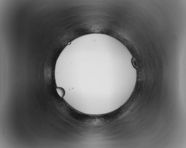 X0000089340646200707131513