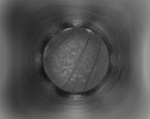 X0000089340650200707131513